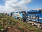 RUMO 9826